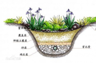 什么是雨水花園？雨水花園和普通花園有什么區(qū)別？
